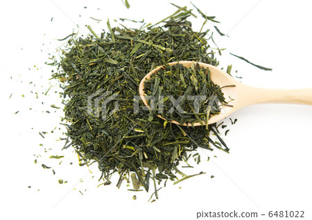 茶葉 茶葉 6481022