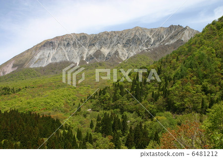 Key ridge of fresh green 6481212