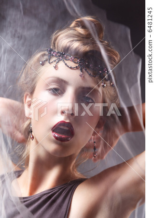 Lightsome Artistic Womans Face with Veil - Delight 6481245