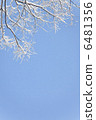 雪花 6481356