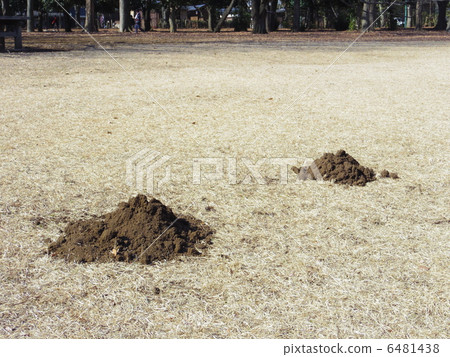 February park February park 6481438