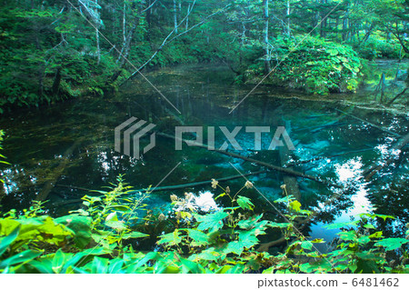 God's Pond God's Pond 6481462