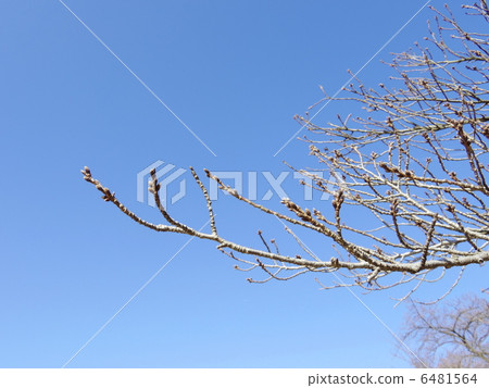 February park February park 6481564