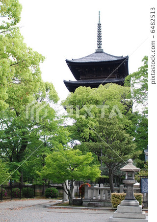 Five stories 6482513