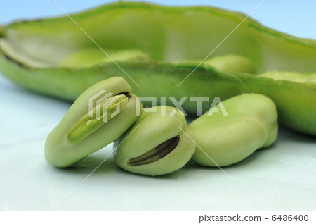 Broad beans 6486400