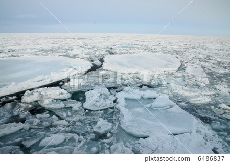 Sea of Okhotsk covered with drift ice (Abashiri City) 6486837