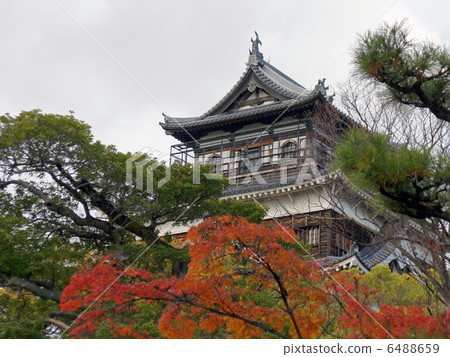 Hiroshima Castle Hiroshima Castle 6488659