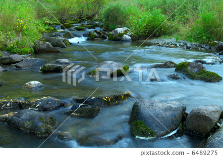 Brook in the forest Brook in the forest 6489275