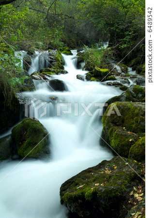 Brook in the forest Brook in the forest 6489542