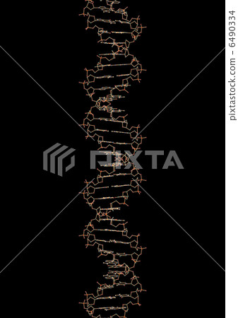 DNA stick model, black background DNA stick model, black background 6490334