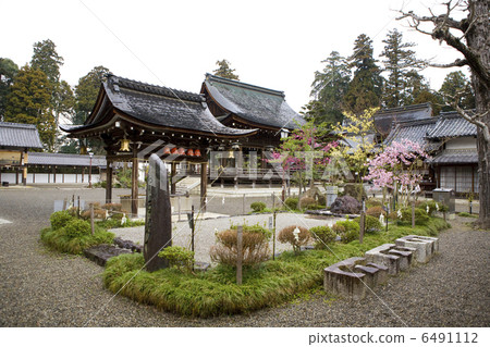 From Shaishinjinjisho Shrine Plant 6491112