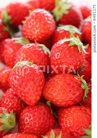 很多水果草莓 6491175