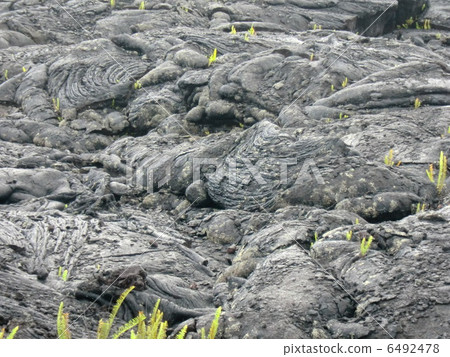 Hawaii island lava flow Hawaii island lava flow 6492478