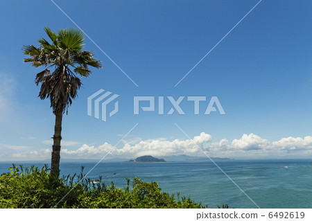 伊拉戈角在夏天 6492619