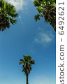 耀眼的夏日天空 6492621