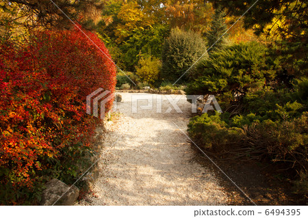 Japanese Garden in Budapest Hungary Margaret Island Japanese Garden in Budapest Hungary Margaret Island 6494395