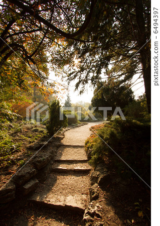 Japanese Garden in Budapest Hungary Margaret Island Japanese Garden in Budapest Hungary Margaret Island 6494397