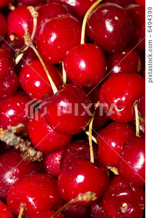 Fresh Cherry Fresh Cherry 6494399