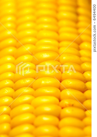 Corn 6494400