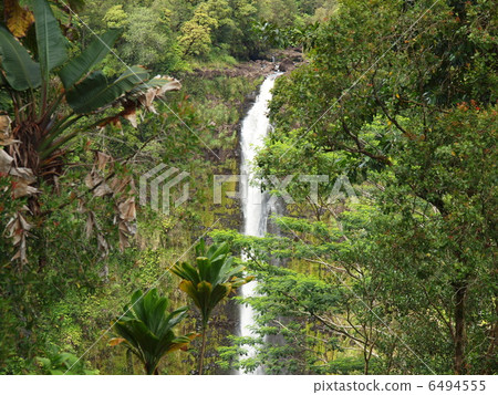 akaka falls, waterfall, arboreal 6494555