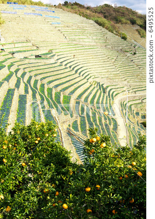 愛媛Uwajima市Yuuko Mizuura 6495525