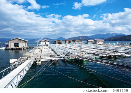 Ehime Uwajima City Yuuko Mizuura 6495539