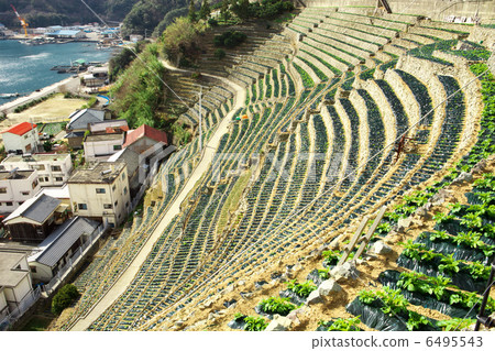 Ehime Uwajima City Yuuko Mizuura Ehime Uwajima City Yuuko Mizuura 6495543