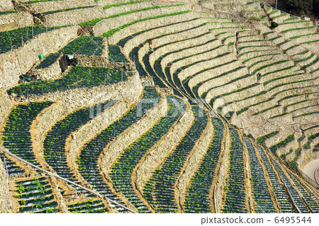 愛媛Uwajima市Yuuko Mizuura 愛媛Uwajima市Yuuko Mizuura 6495544