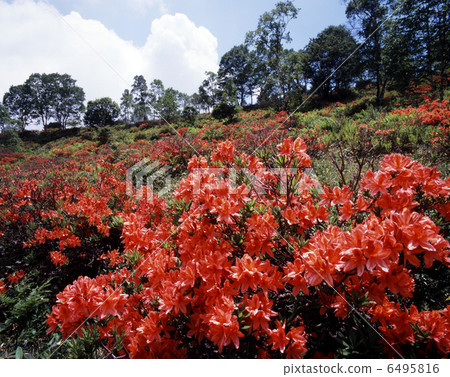 Moromori plateau of early summer hot water 6495816