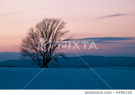 冬天的黃昏 6496156