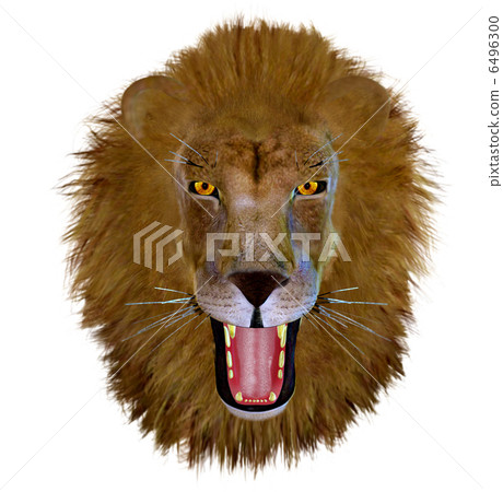 King of monsters ☆ ☆ Lion King of monsters ☆ ☆ Lion 6496300