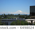 Seattle Rainier Mountain 6498024