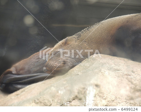 暢快 暢快 6499124