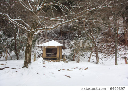 Sai no Saijoan 6499897