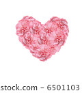 Heart, pink, carnation 6501103