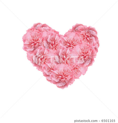 Heart, pink, carnation Heart, pink, carnation 6501103