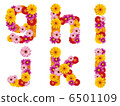 Flower lower case letters, alphabet, flowers, English, 6501109