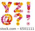 Flower capitals, alphabet, flowers, English, 6501111