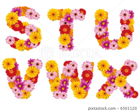 花卉首都,字母,鮮花,英文, 花卉首都,字母,鮮花,英文, 6501120