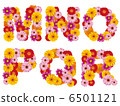 Flower capitals, alphabet, flowers, English, 6501121