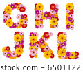 Flower capitals, alphabet, flowers, English, 6501122