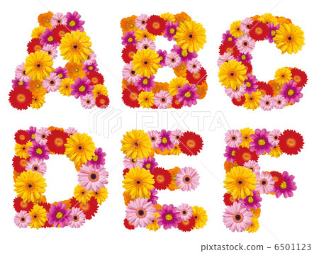 花卉首都,字母,鮮花,英文, 花卉首都,字母,鮮花,英文, 6501123