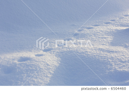 雪景 雪景 6504460