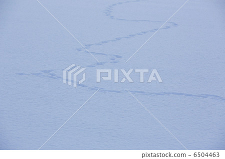 Snow scene 6504463