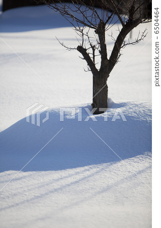 雪景 雪景 6504464