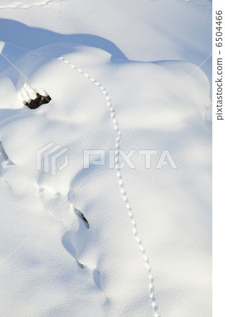 雪景 6504466