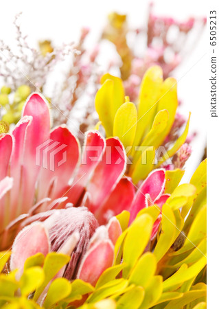 nature background nature background 6505213