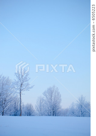 nice winter 6505223