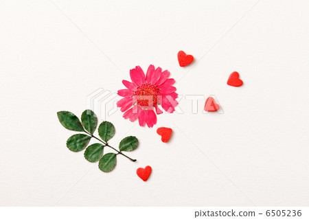 summer flowers 6505236