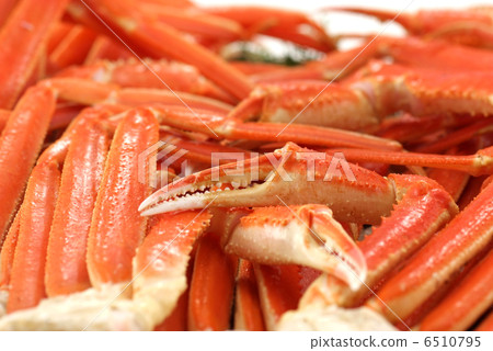 Crab shell crustacean crab crab leg crab nail food seafood fruit Crab shell crustacean crab crab leg crab nail food seafood fruit 6510795